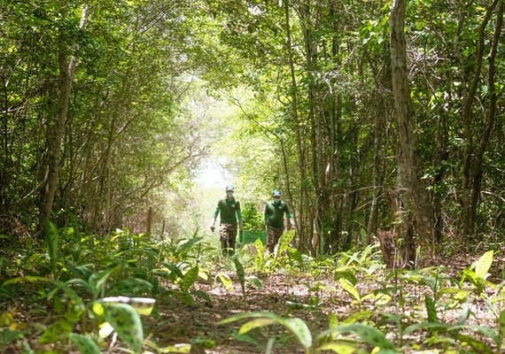 Associação Caatinga abre inscrições para curso gratuito de Restauração Ecológica da Caatinga