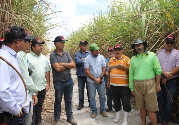 Dia de Campo apresenta resultados da irrigação no plantio de cana