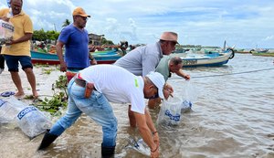 Peixamentos inserem espécies nativas no Rio São Francisco durante Festa de Bom Jesus  em Alagoas