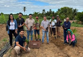 Nova estratégia agrícola com açaí vai trazer mais segurança e valor à produção irrigada em Alagoas