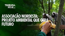 Associação Nordesta: preservação ambiental que transforma o futuro