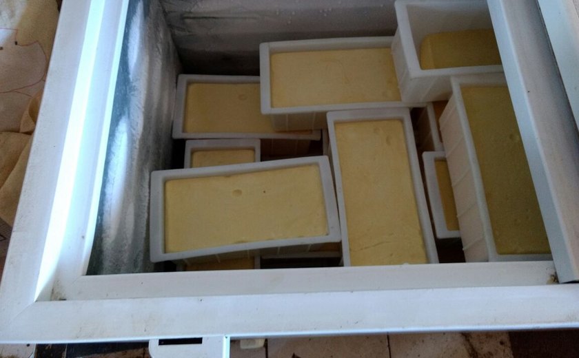 Fiscalização Preventiva Integrada apreende uma tonelada de queijo impróprio