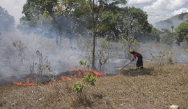 Aumentam registros de focos de incêndios em Alagoas