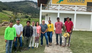 Nova própolis descoberta em Alagoas pode revolucionar tratamento anti-inflamatório