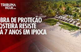 Obra de proteção costeira completa 7 anos resistindo ao avanço do mar