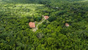 Caatinga se destaca como aliada no combate às mudanças climáticas