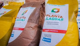 Governo de Alagoas lança Programa Planta Alagoas nesta segunda (18)