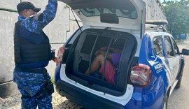 Presos com drogas homem com mais de 10 passagens pela polícia e comparsa foragido