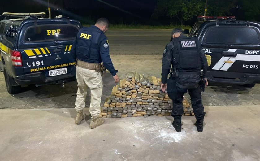 170 kg de maconha são apreendidos em ação conjunta da PRF, Deic, Tigre e SSP