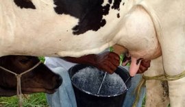 Embrapa lança novo Centro de Pesquisa em Alagoas