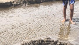 Vídeo: lontra é encontrada por populares na Praia do Patacho, em Porto de Pedras