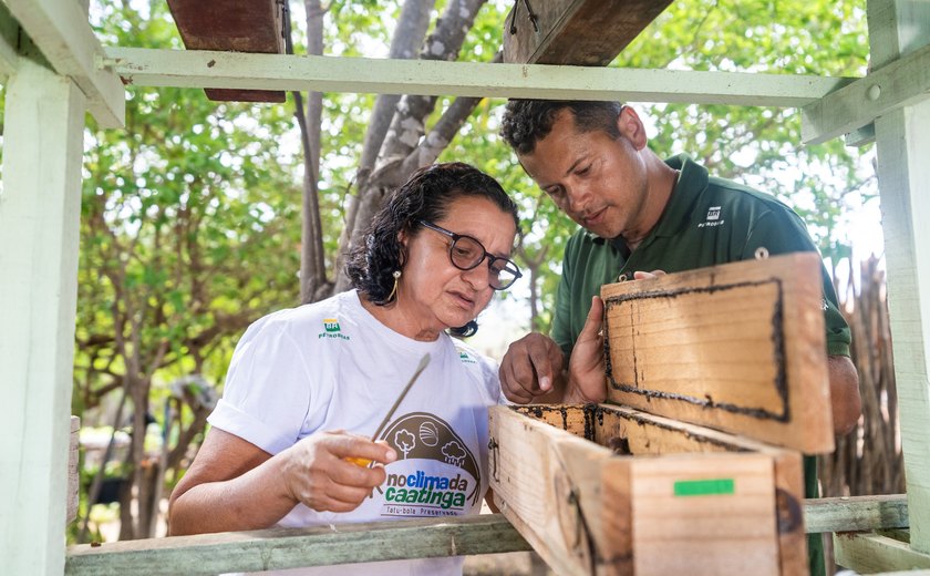 Associação Caatinga celebra em 3 de outubro o Dia Nacional da Abelha com foco no trabalho com meliponicultores