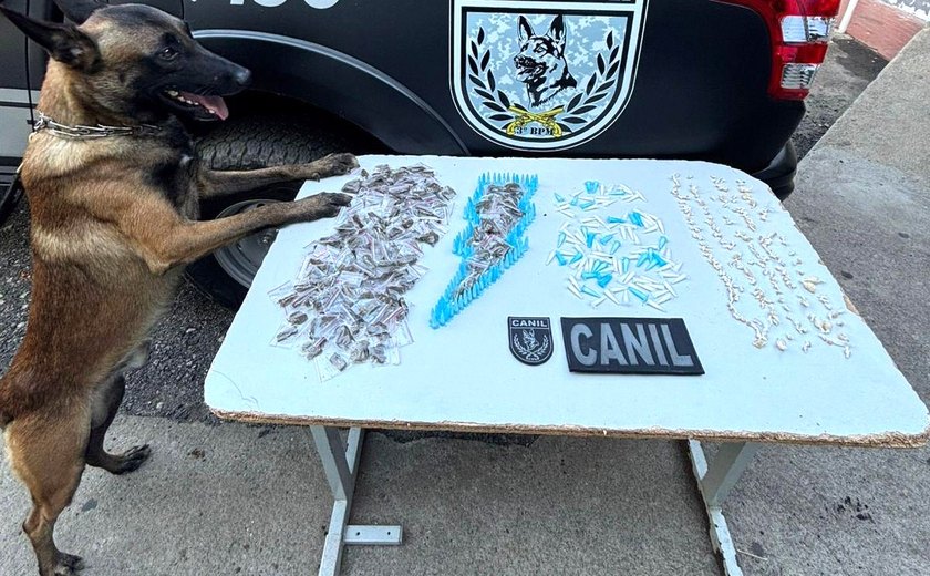 Com apoio de cão farejador, PM apreende maconha, crack e cocaína em Arapiraca