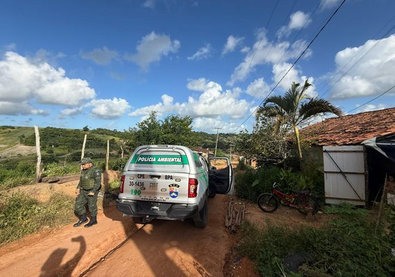 Operação prende duas pessoas e apreende armas de fogo e aves silvestres em Alagoas