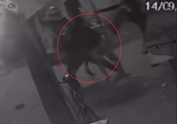 Confusão entre torcedores termina com agressões no Jacintinho, em Maceió