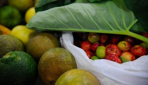 ONU: 931 milhões de toneladas de alimentos foram para o lixo em 2019