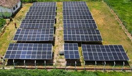 Usina Solar do Ifal Satuba entra em funcionamento