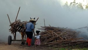 Brasil registra aumento de trabalho infantil entre crianças de 5 a 9 anos