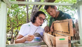 Associação Caatinga celebra em 3 de outubro o Dia Nacional da Abelha com foco no trabalho com meliponicultores