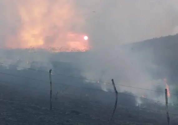 Alagoas tem 289 incêndios em vegetação