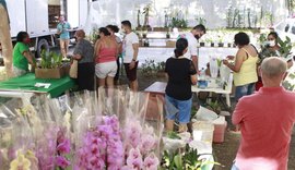 II Edição da Feira de Orquídeas e Bromélias comercializa 10 mil espécies de plantas