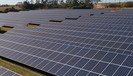 Produtores rurais investem em energia solar para reduzir custos