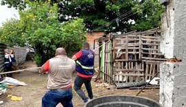 Segurança Cidadã realiza demolição de barracos esvaziados no Vergel do Lago