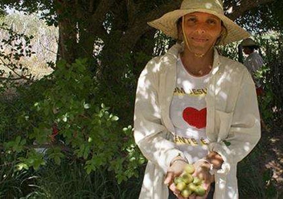 Cooperativa fundada por mulheres valoriza ingredientes do semiárido na BA