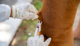 Prefeitura de Maceió realiza 2º dia de vacinação antirrábica neste sábado