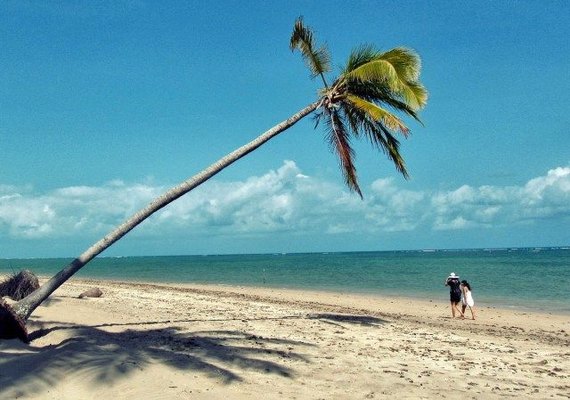 Praia do Patacho pode receber Selo Bandeira Azul