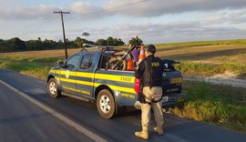 PRF recupera em Pilar motocicleta roubada em Limoeiro de Anadia