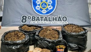 Policiais militares apreendem mais de 23 quilos de maconha em Satuba