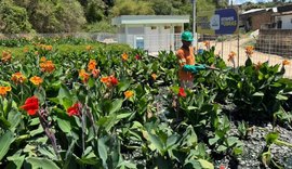 2025: marco da requalificação ambiental e canalização do Renasce Salgadinho