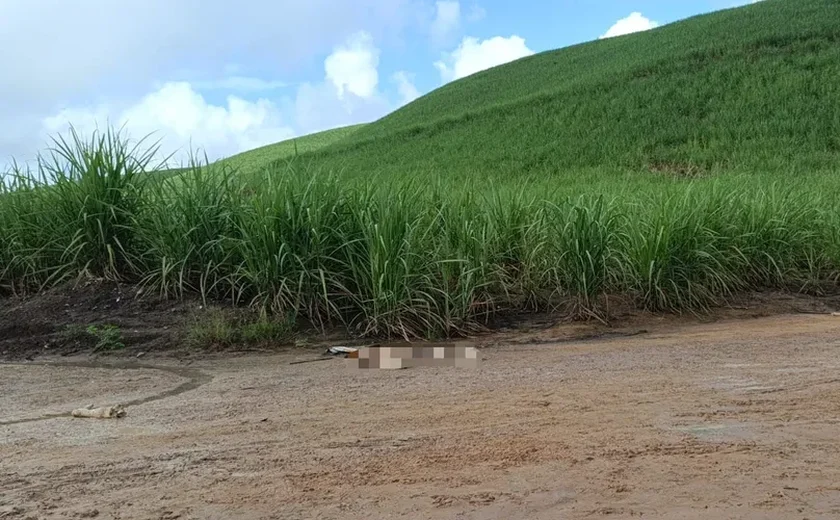 Corpo esquartejado é encontrado em estrada vicinal na região Norte de Alagoas