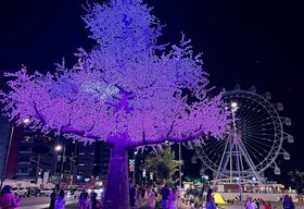 Iluminação de Natal no Parque Massay-ó-k encanta maceioenses e turistas