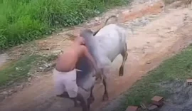 Idoso fica ferido após ser atingido por boi solto em rua de Paudalho