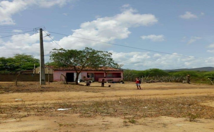 Viçosa dar outro fruto bom!