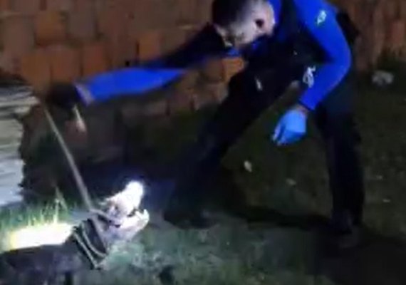 Policial Científico resgata jacaré que invadiu residência em Marechal Deodoro