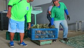 Prefeitura de Arapiraca divulga selecionados para o programa Alimenta Brasil