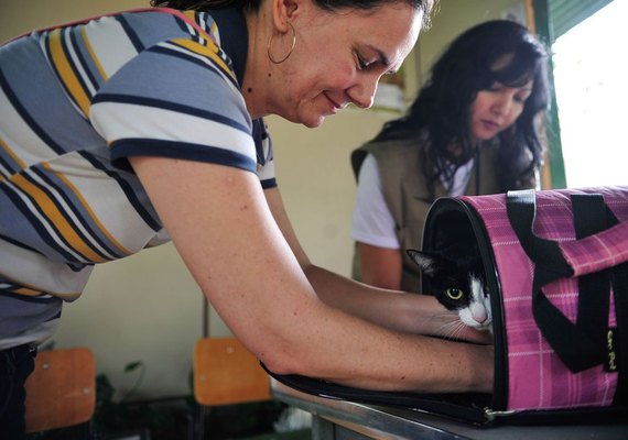 Pesquisa investiga transmissão de covid-19 entre homens e animais