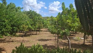 Técnicos do IMA visitam RPPNs selecionadas no Programa Estadual de Pagamento por Serviços Ambientais