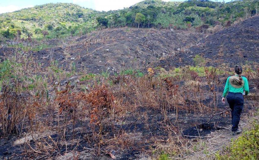 Período seco e baixa umidade em Alagoas aumentam riscos de queimadas