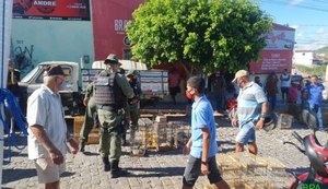 BPA apreende 92 aves silvestres em feiras livres de Maceió e outros cinco municípios