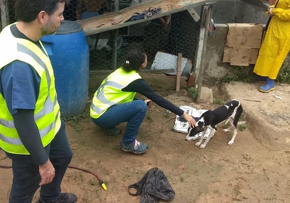 Médicos veterinários de Alagoas vão atuar em rompimento de barragem na Bahia