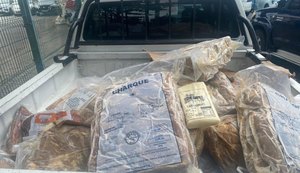 Mais de 600 kg de alimentos estragados e clandestinos são apreendidos na Levada