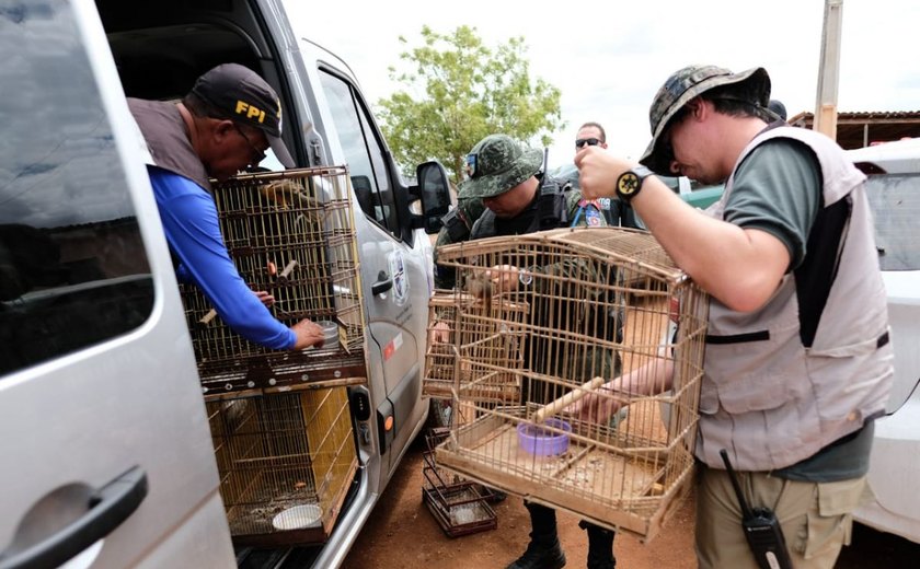 FPI resgata cerca de 200 animais silvestres em dois dias de atuação