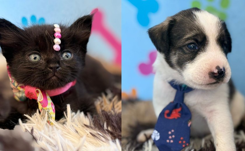 Feira de Adoção de Pets no Cesmac realiza nova edição nesta sexta-feira (14)