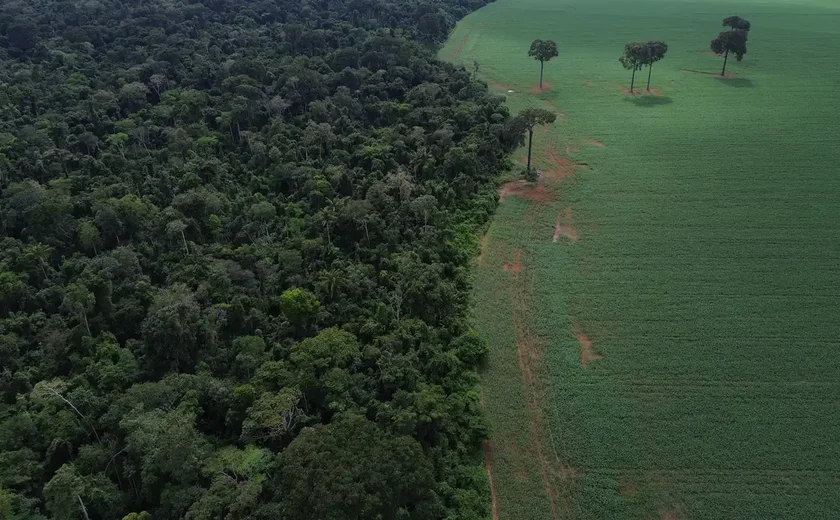 Financiamento climático é responsabilidade de países ricos