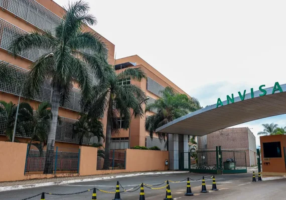 Anvisa atualiza limites de cúrcuma em suplementos alimentares