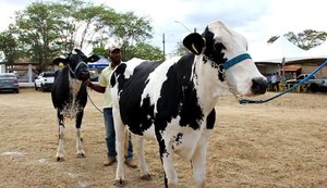 Pindorama premia participantes do torneio leiteiro da Expo Bacia